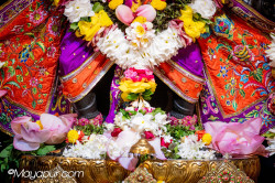 Daily Darshan