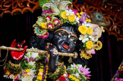 Daily Darshan