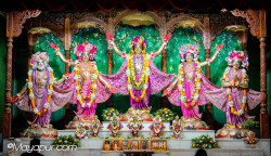 Daily Darshan