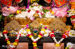 Daily Darshan