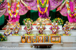 Daily Darshan