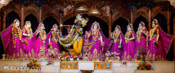 Daily Darshan