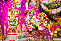 Daily Darshan