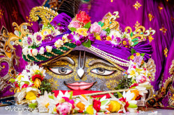 Daily Darshan