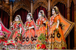 Daily Darshan