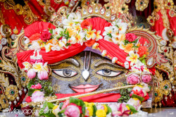 Daily Darshan