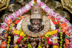 Daily Darshan