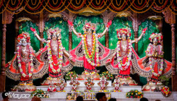 Daily Darshan