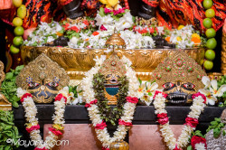 Daily Darshan