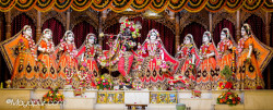 Daily Darshan