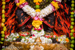 Daily Darshan