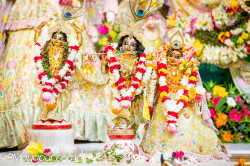 Daily Darshan