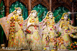 Daily Darshan