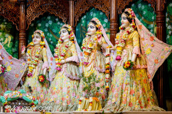 Daily Darshan