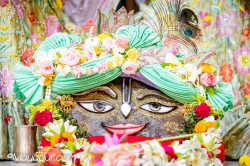 Daily Darshan