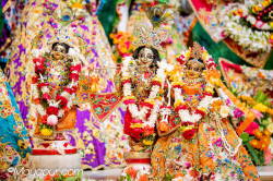 Daily Darshan
