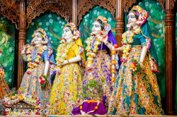 Daily Darshan