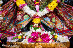 Daily Darshan