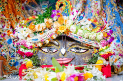 Daily Darshan