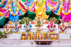 Daily Darshan