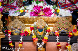 Daily Darshan