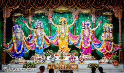 Daily Darshan