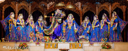 Daily Darshan