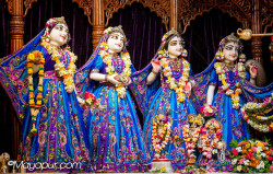 Daily Darshan