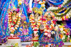 Daily Darshan