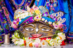 Daily Darshan