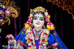 Daily Darshan