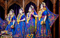 Daily Darshan