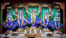 Daily Darshan