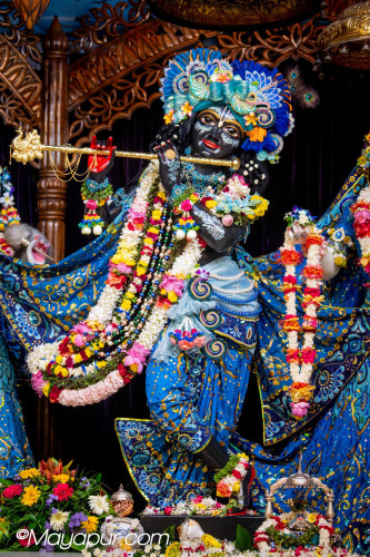 Daily Darshan
