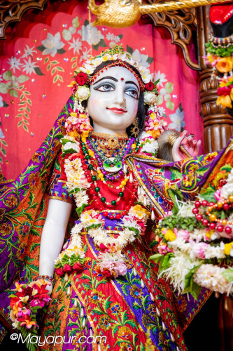 Daily Darshan