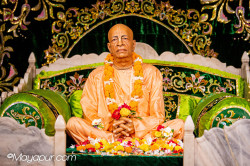 Daily Darshan