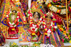 Daily Darshan