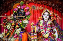 Daily Darshan