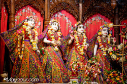Daily Darshan