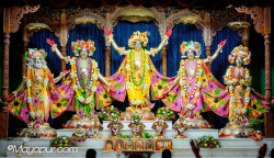 Daily Darshan