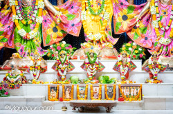 Daily Darshan