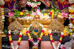 Daily Darshan