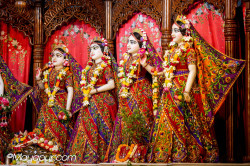 Daily Darshan