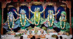 Daily Darshan