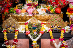 Daily Darshan
