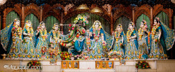 Daily Darshan