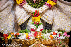 Daily Darshan