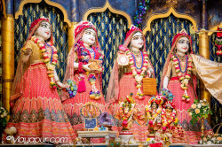 Daily Darshan
