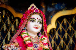 Daily Darshan