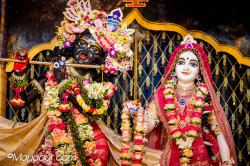 Daily Darshan
